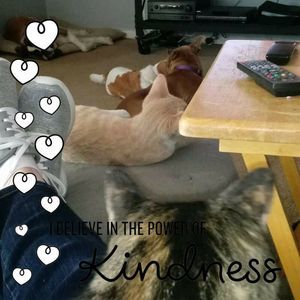 Meet your Posher, Maureen